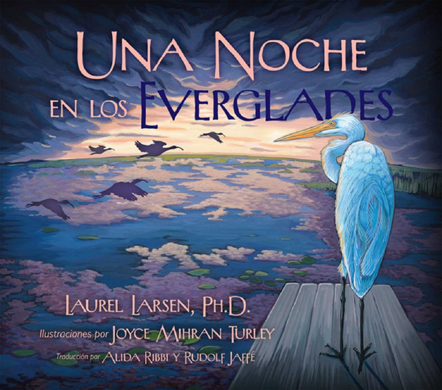Noche en los Everglades