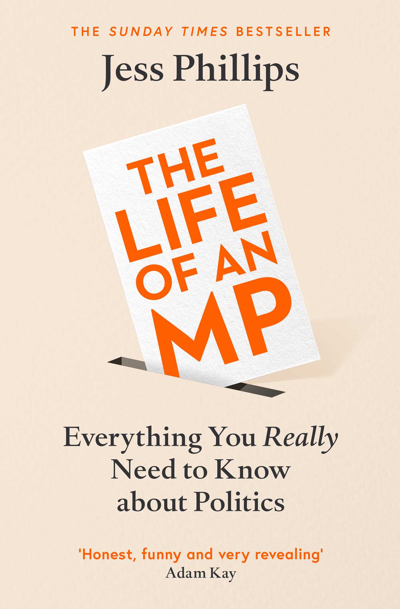 Life of an MP: Everything You Really Need to Know About Politics