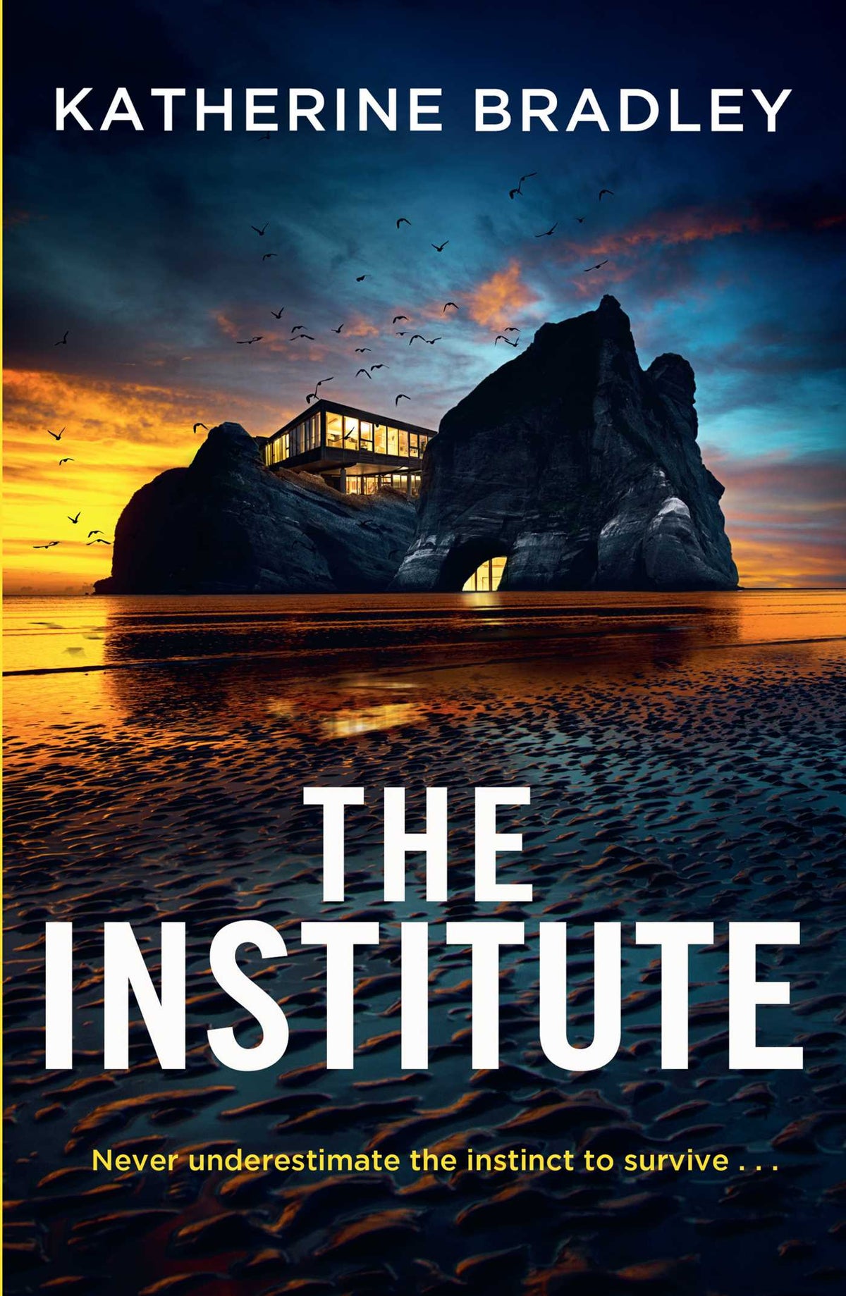 Institute: Five students stepped in front of a train. Only one came back. But what happened on the platform was just the beginning.
