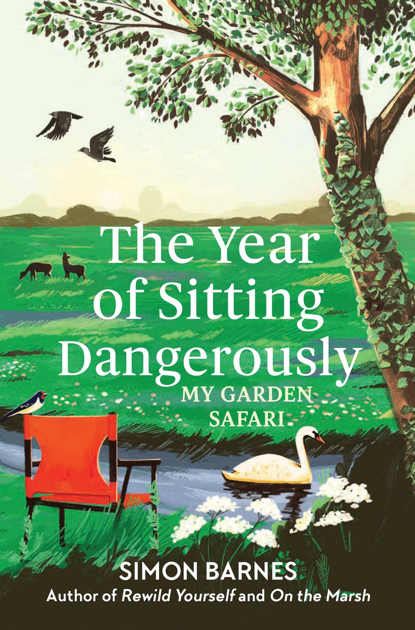 Year of Sitting Dangerously: My Garden Safari