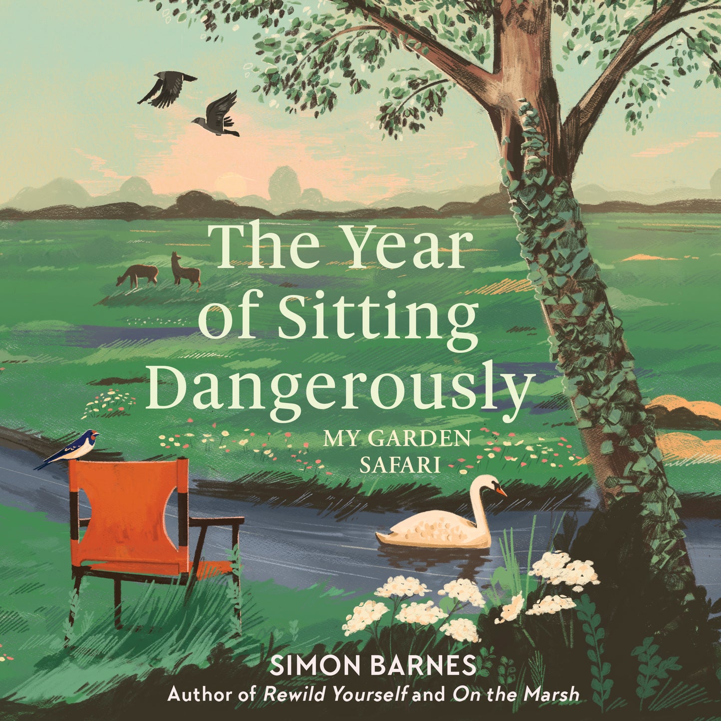 Year of Sitting Dangerously: My Garden Safari