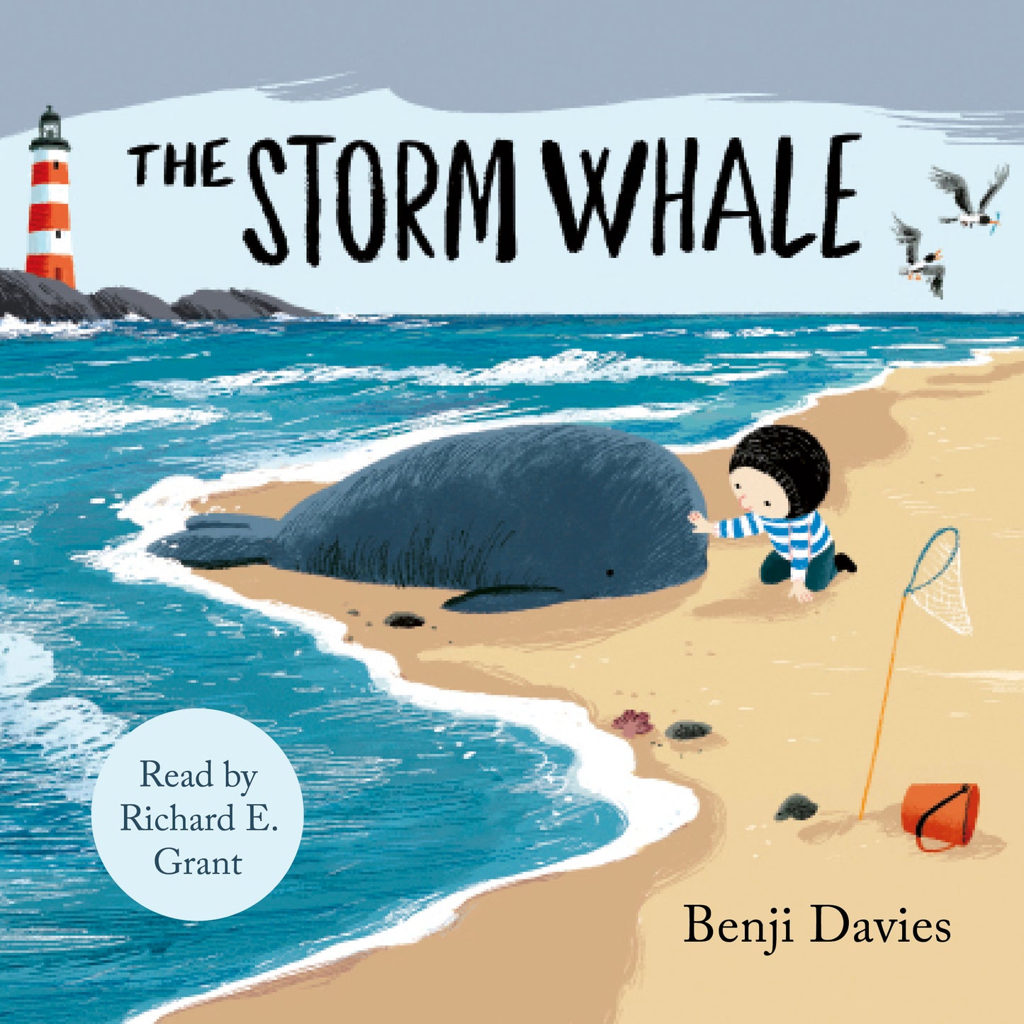 Storm Whale