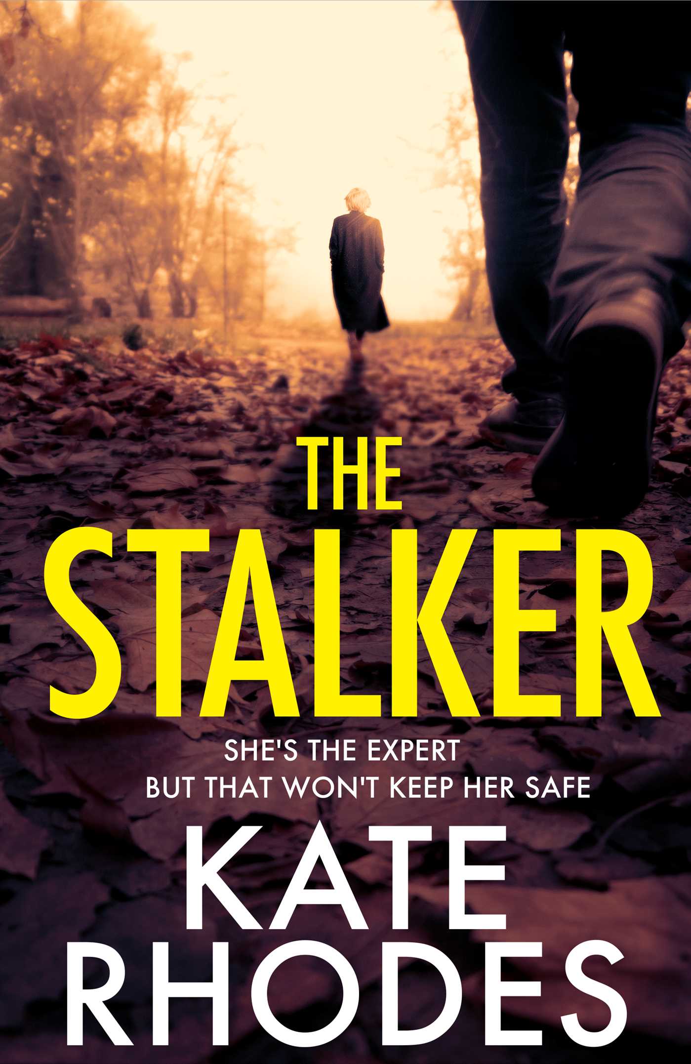 Stalker: A nail-bitingly tense thriller that will have you looking over your shoulder until the final shocking twist