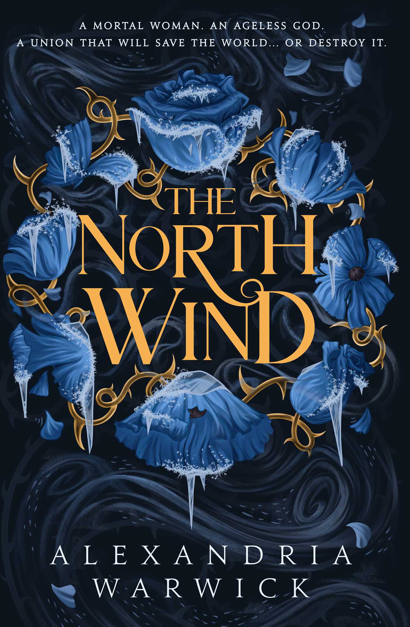 North Wind: The TikTok sensation! An enthralling enemies-to-lovers romantasy, the first in the Four Winds series