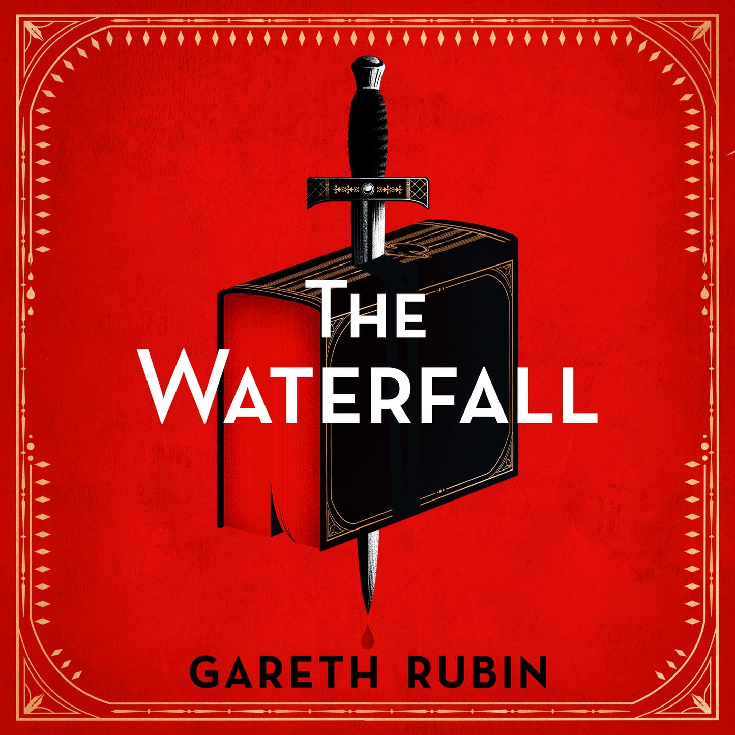 Waterfall: A beguiling and intricate mystery from Sunday Times bestselling author Gareth Rubin