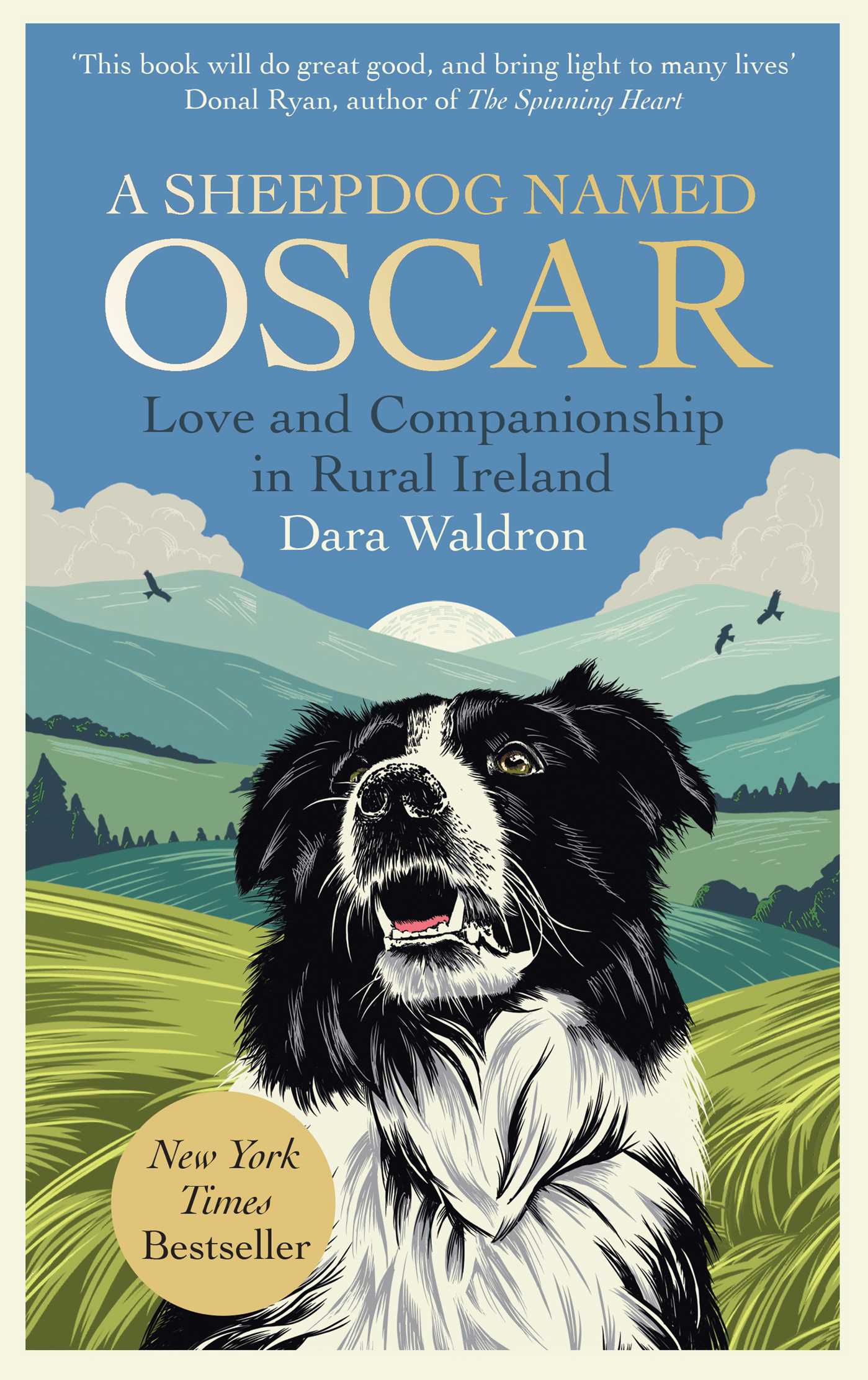 Sheepdog Named Oscar: Love and Companionship in Rural Ireland