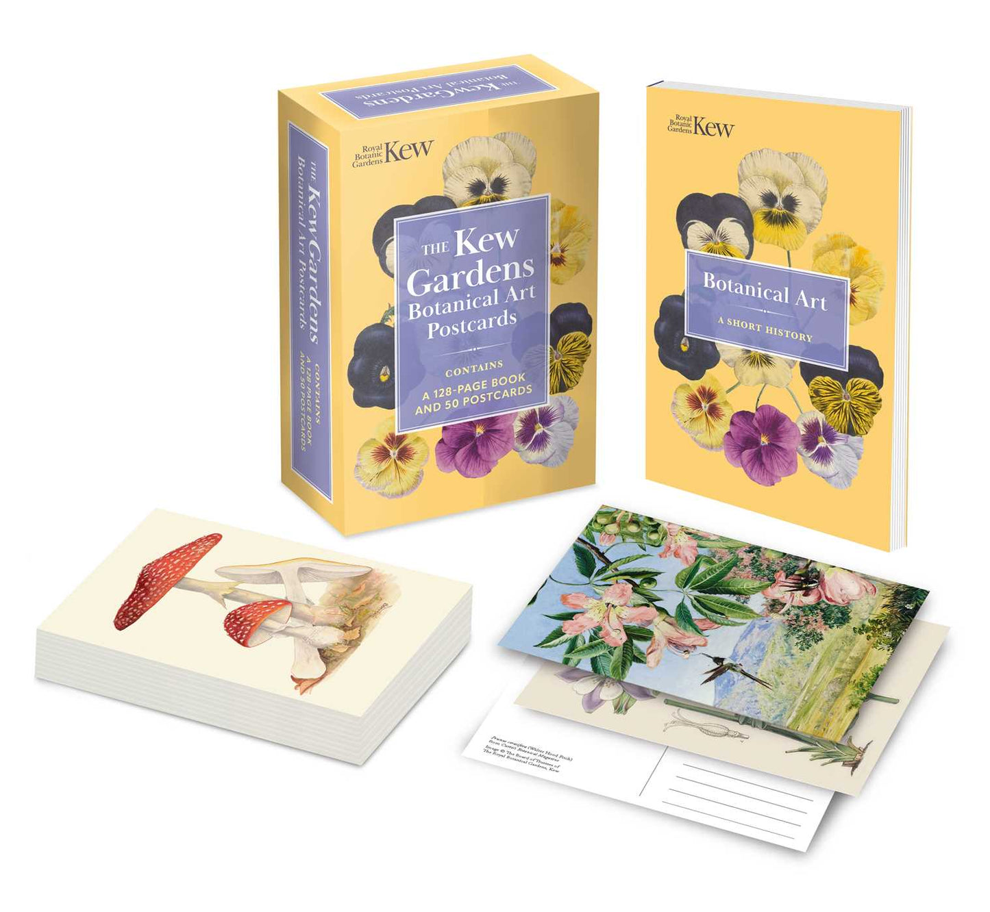 Kew Gardens Botanical Art Postcards: Contains a 128-page Book and 50 Postcards
