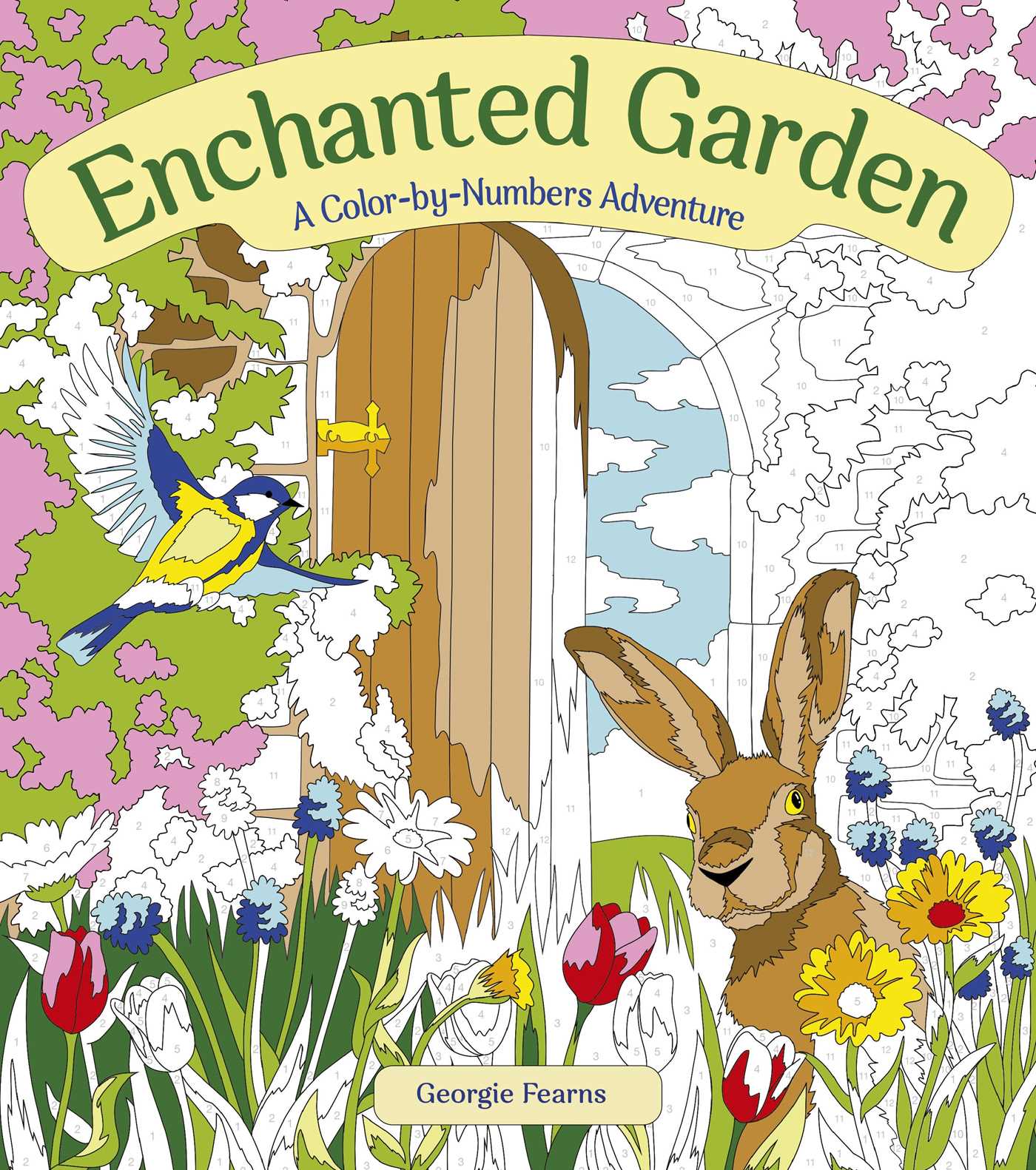 Enchanted Garden: A Color-by-Numbers Adventure