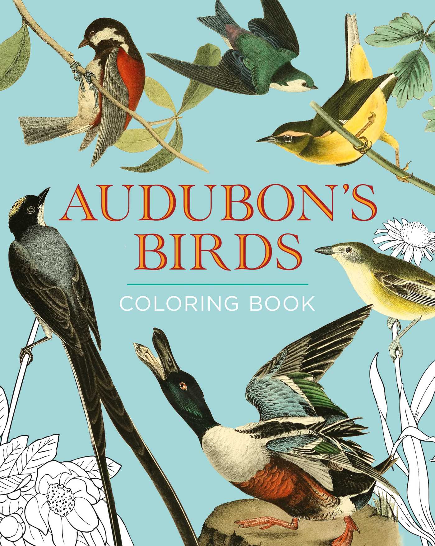 Audubon's Birds Coloring Book
