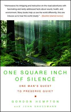 One Square Inch of Silence