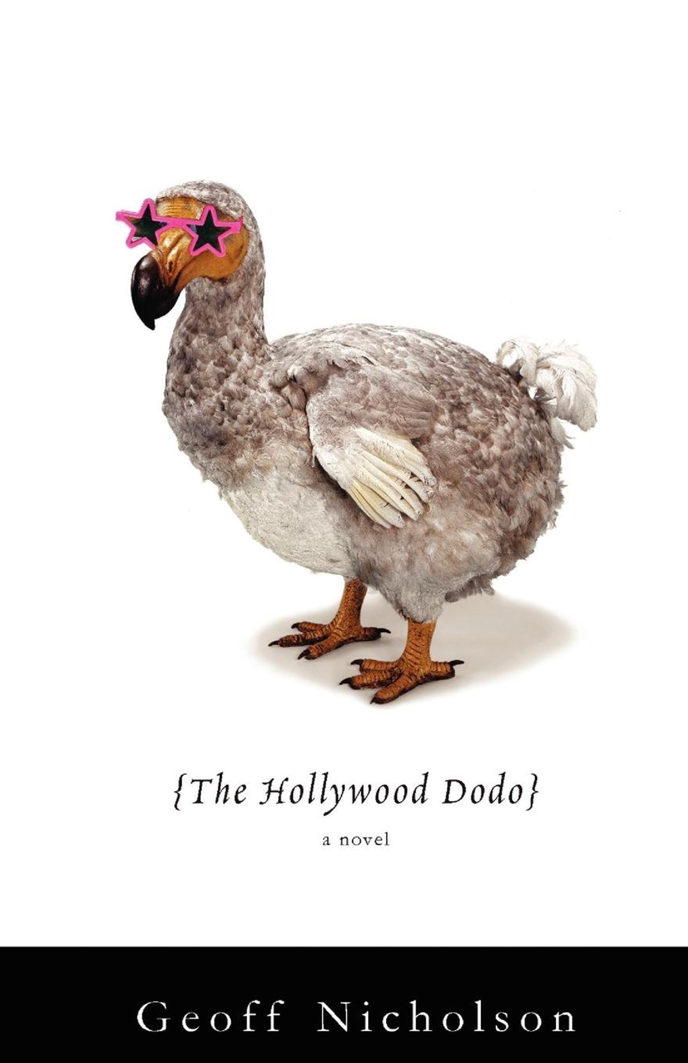 Hollywood Dodo: A Novel