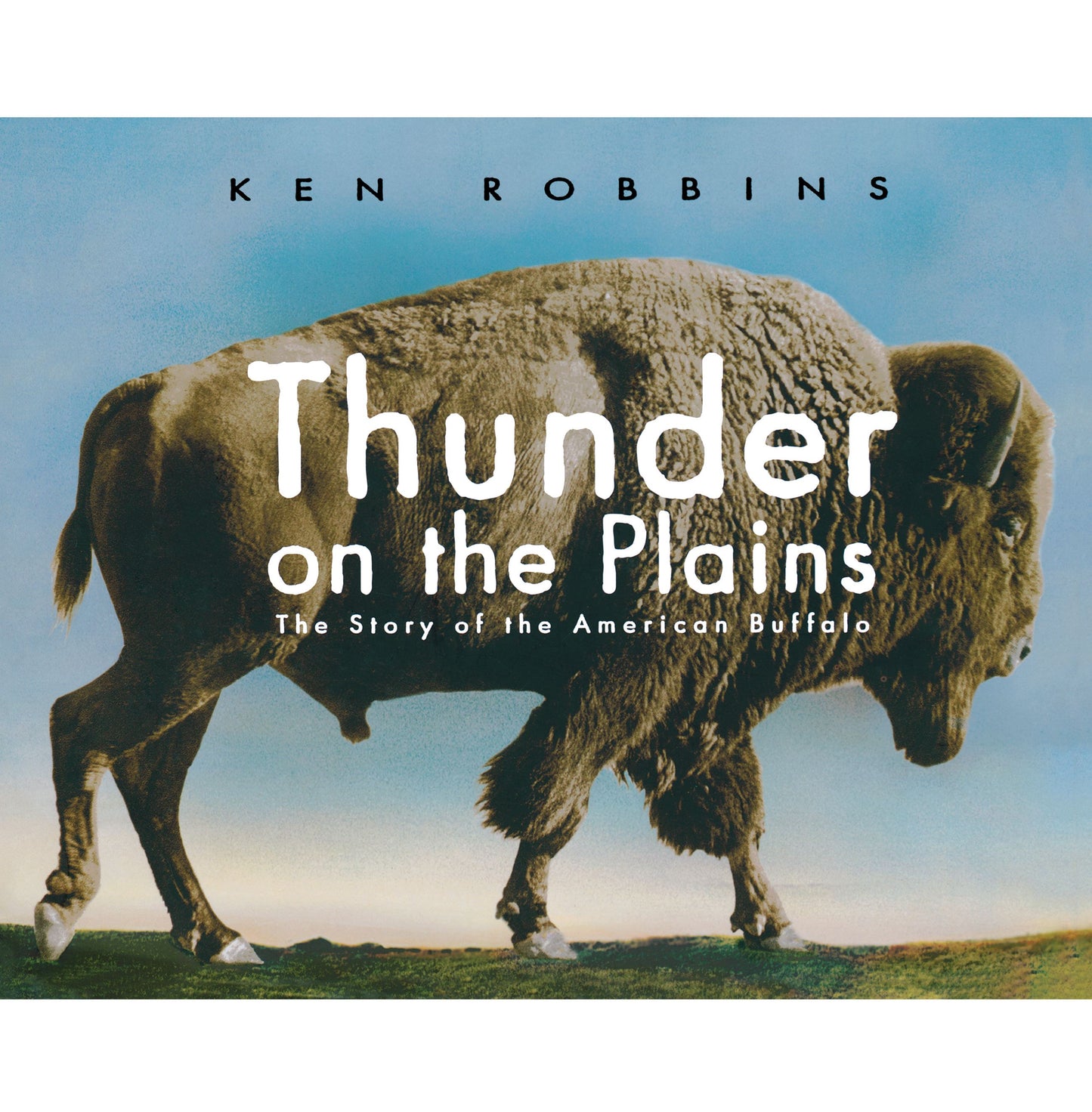 Thunder on the Plains
