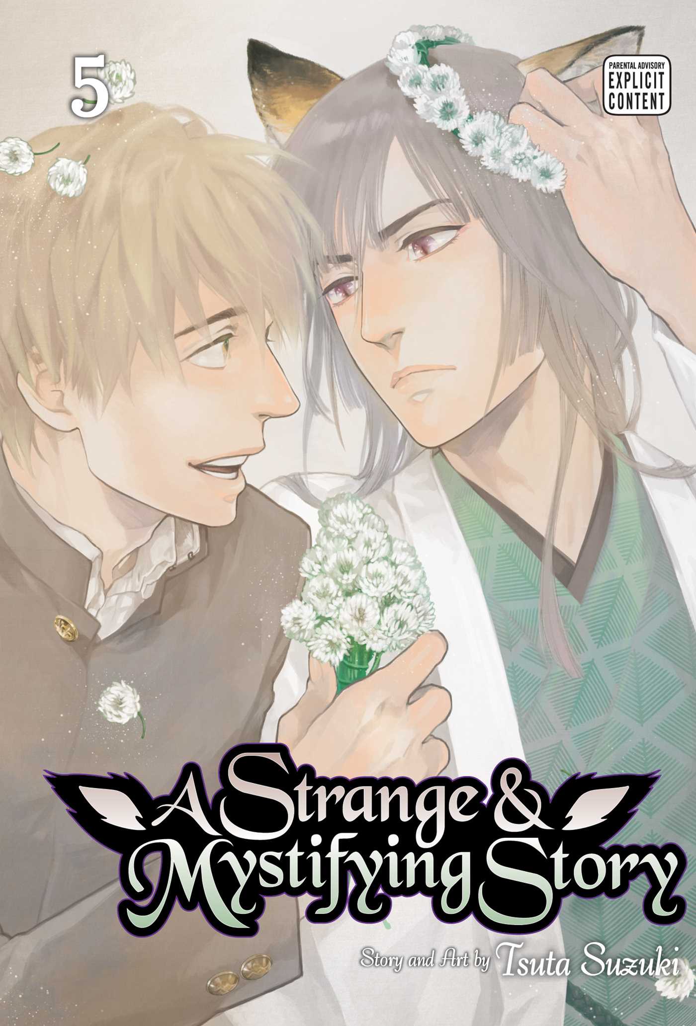 Strange & Mystifying Story, Vol. 5