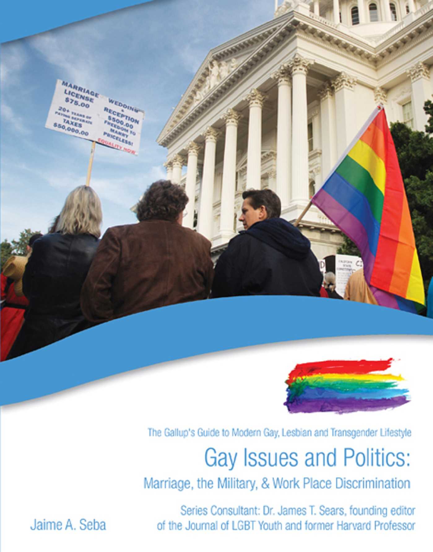Gay Issues and Politics