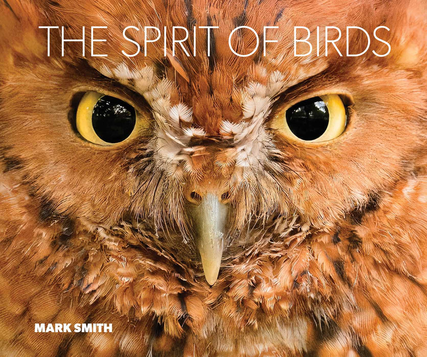 Spirit of Birds: From World Renowned Nature Photographer Mark Smith