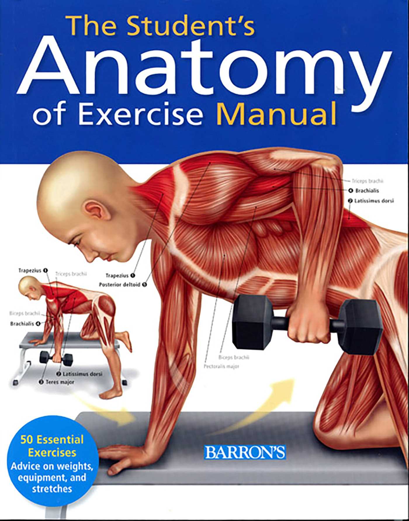 Student's Anatomy of Exercise Manual