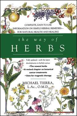 The Way of Herbs