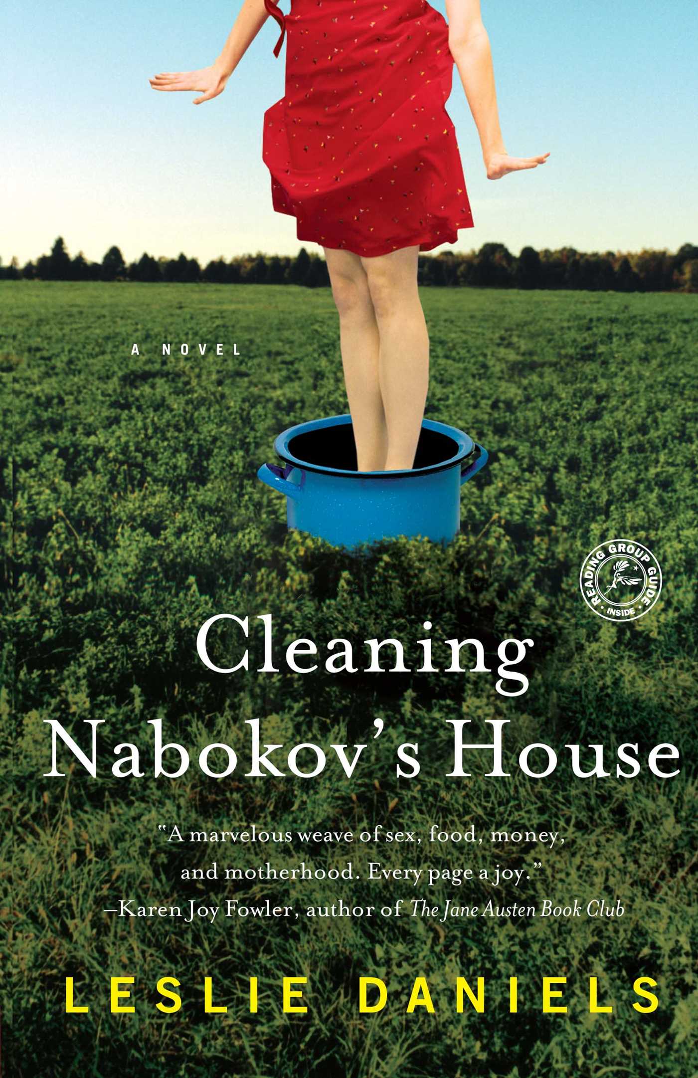 Cleaning Nabokov's House