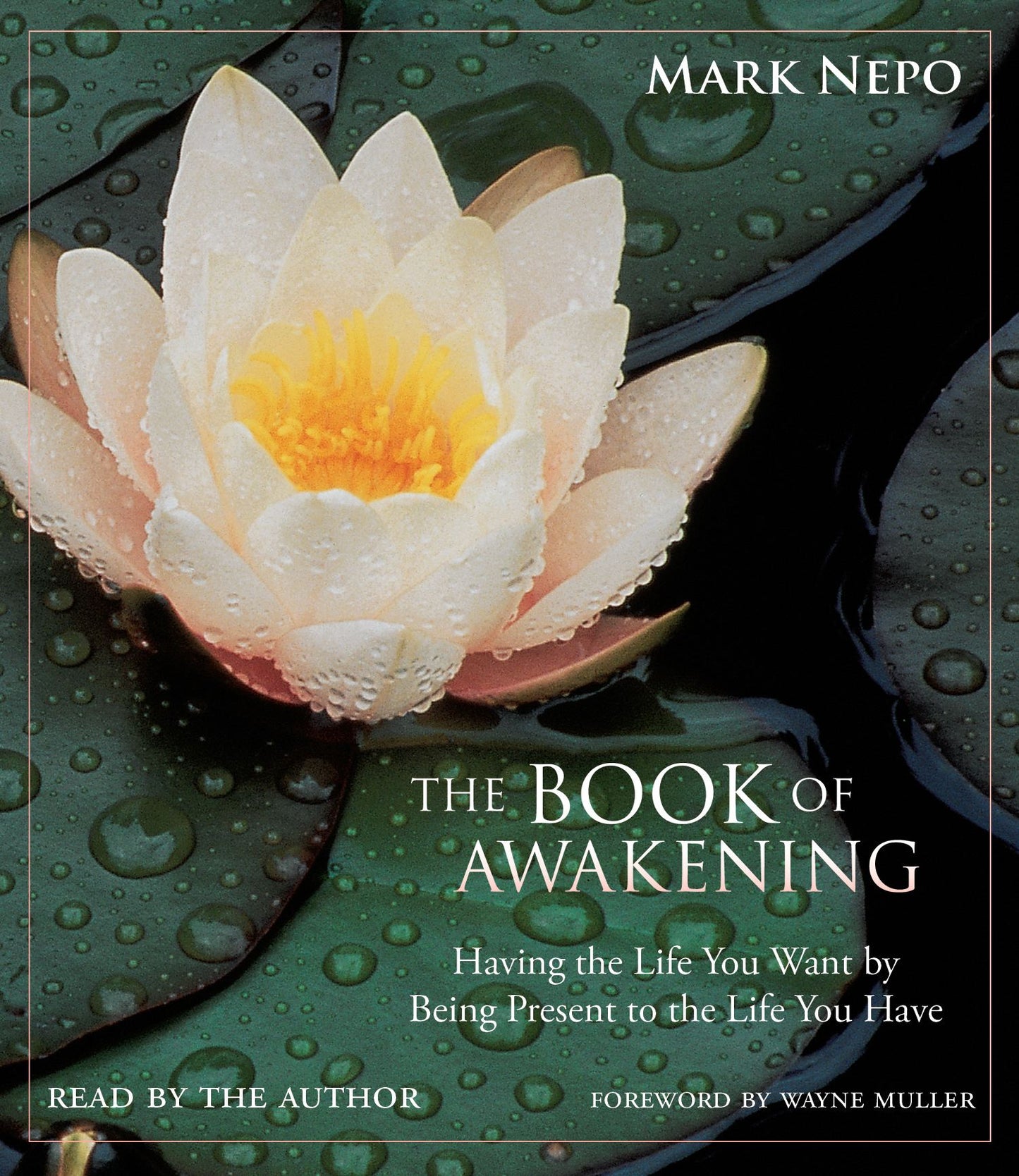 Book of Awakening: Having the Life You Want by Being Present to the Life You Have