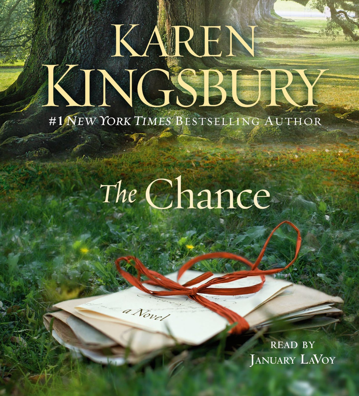 Chance: A Novel