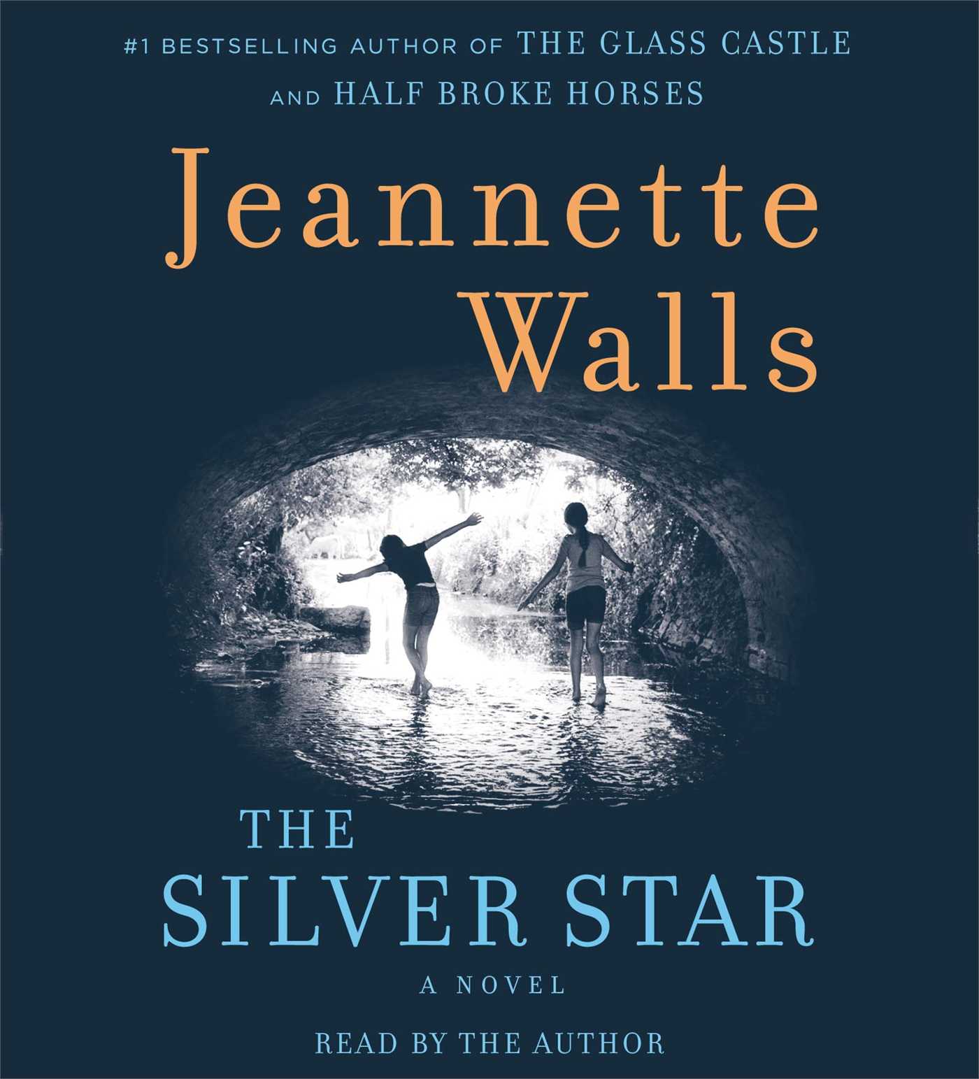 Silver Star: A Novel