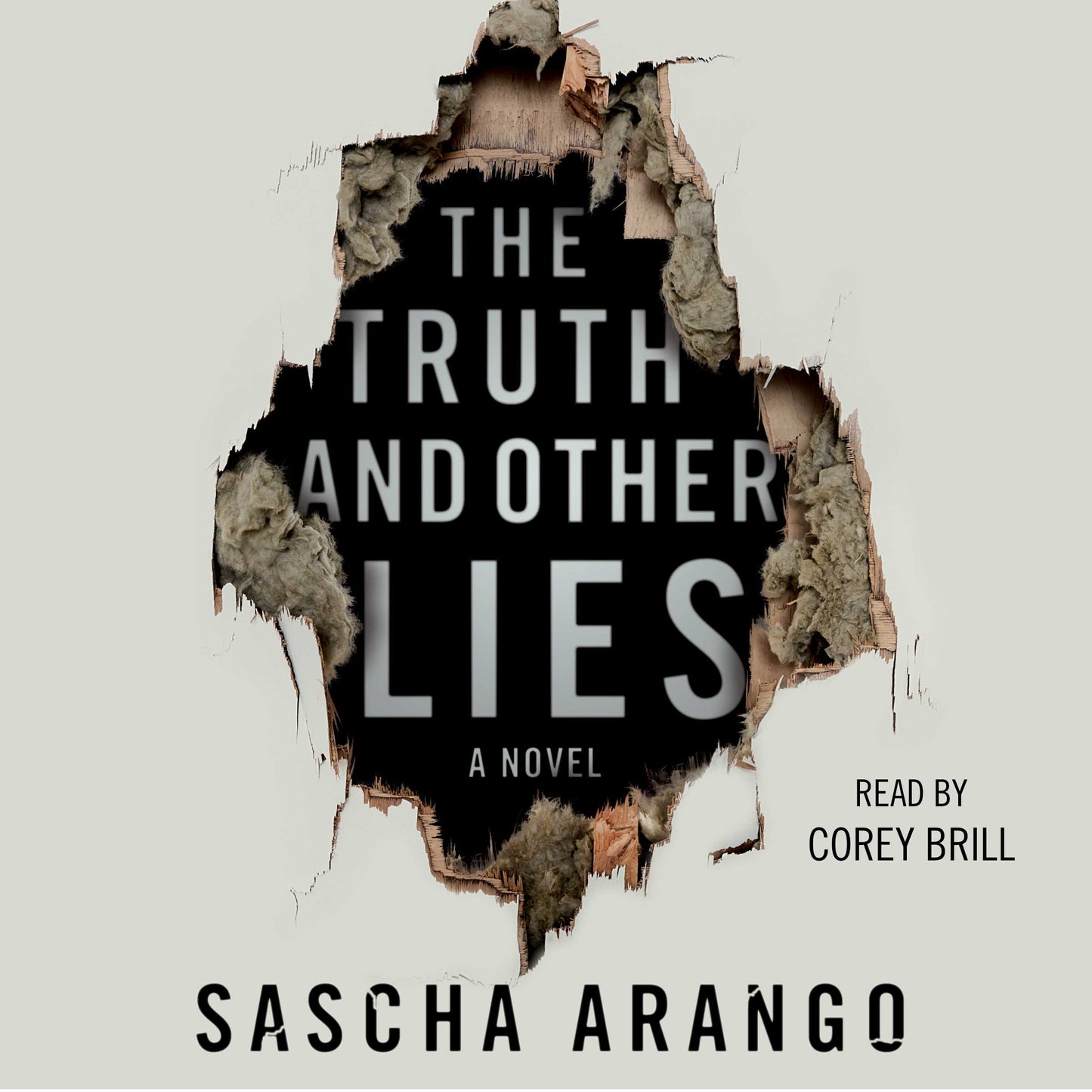 Truth and Other Lies: A Novel