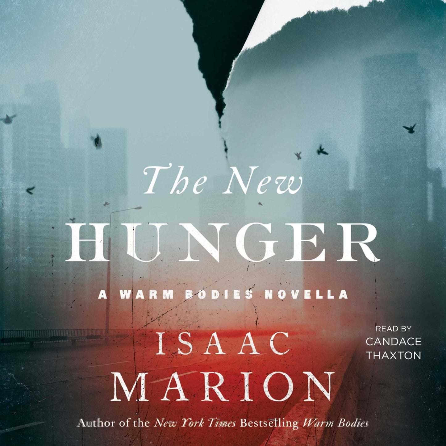 New Hunger: A Warm Bodies Novella
