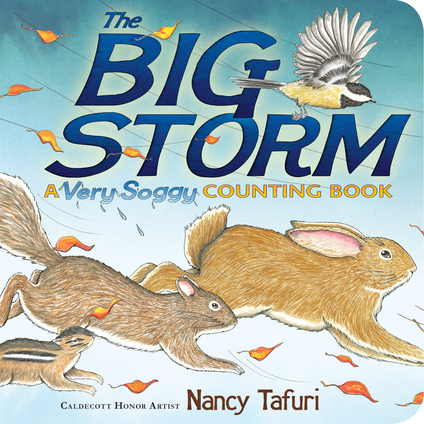Big Storm: A Very Soggy Counting Book