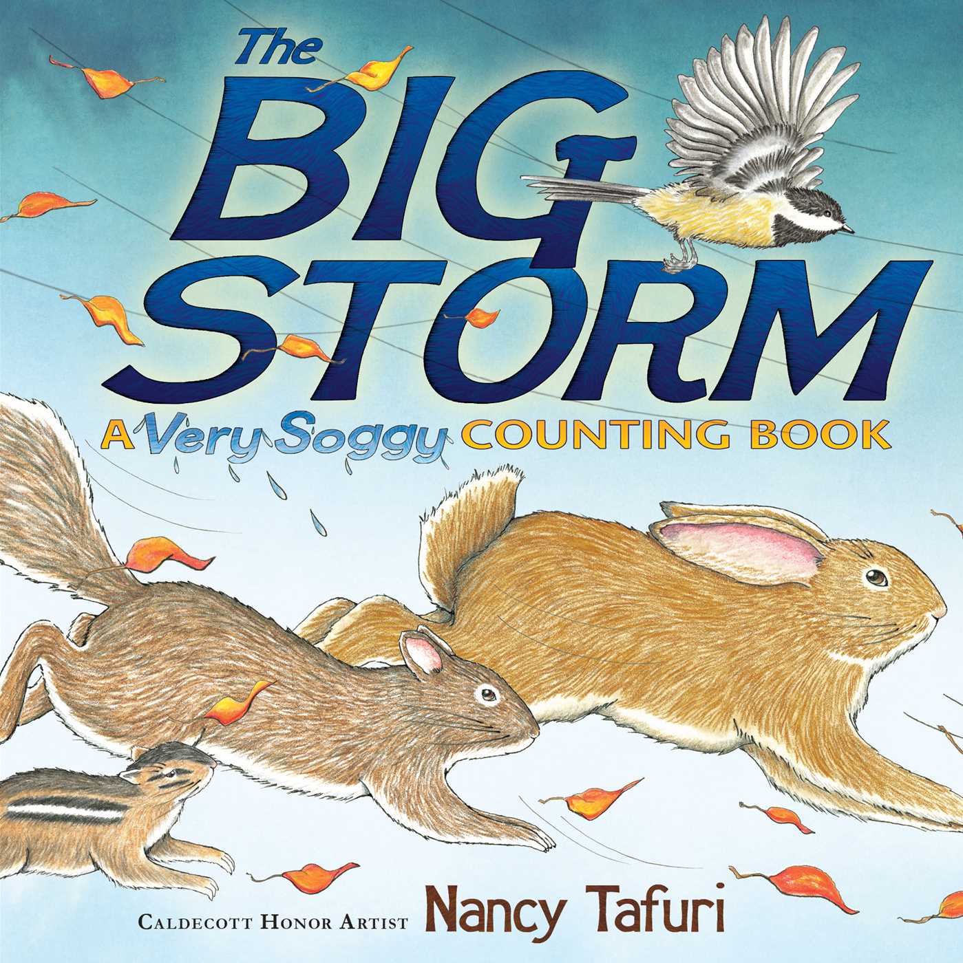 Big Storm: A Very Soggy Counting Book (with audio recording)