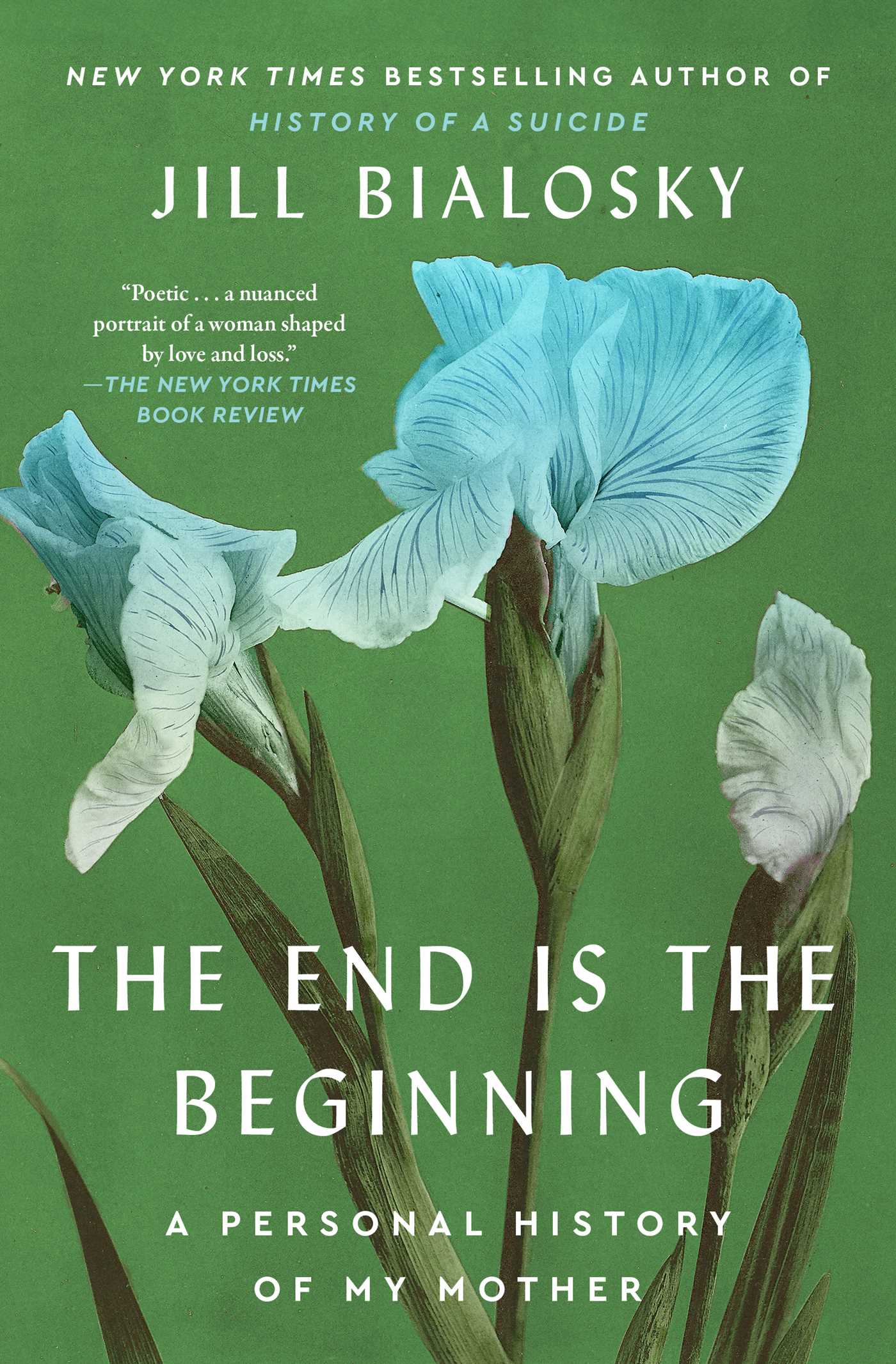 End Is the Beginning: A Personal History of My Mother