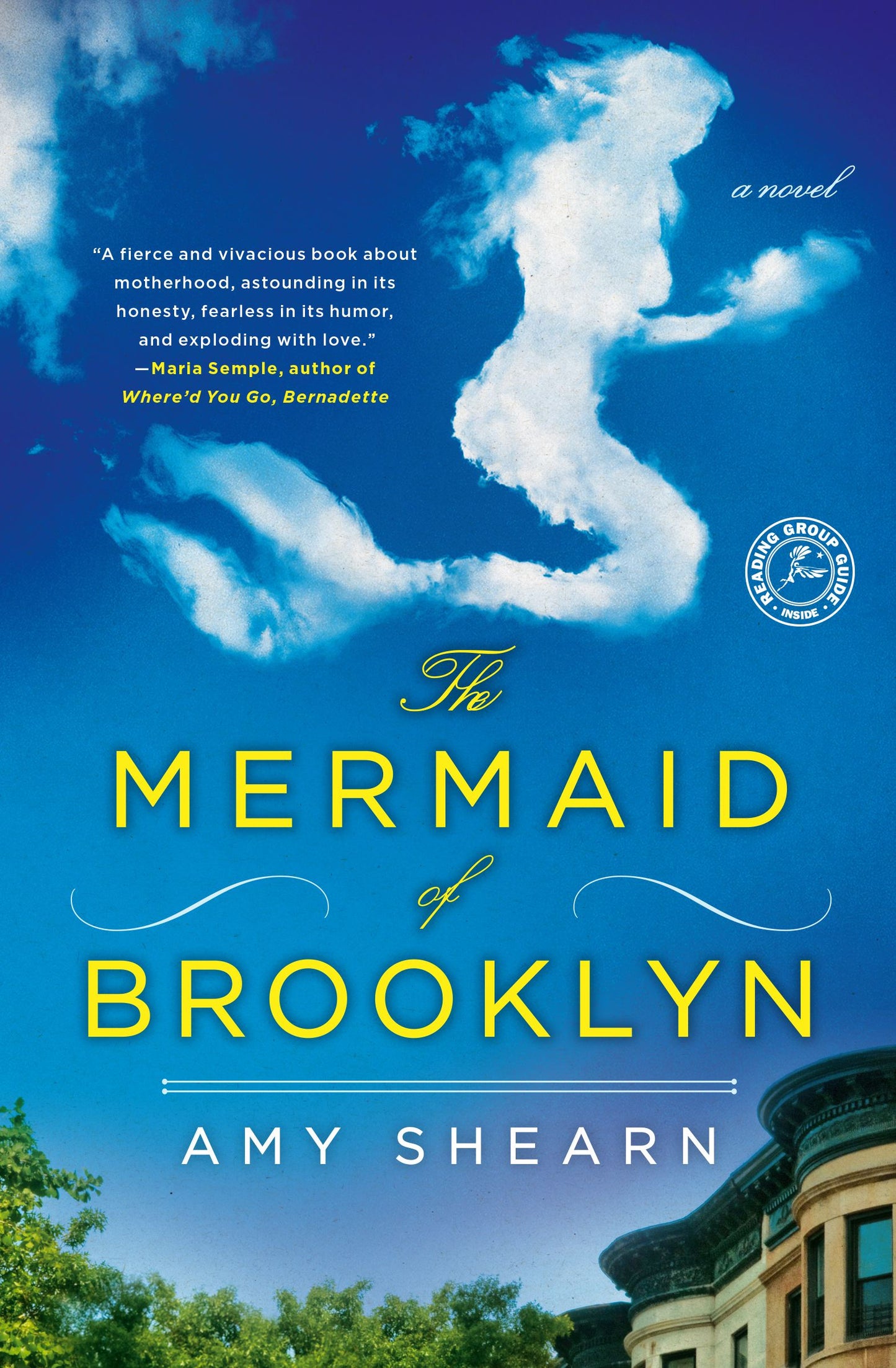 Mermaid of Brooklyn: A Novel