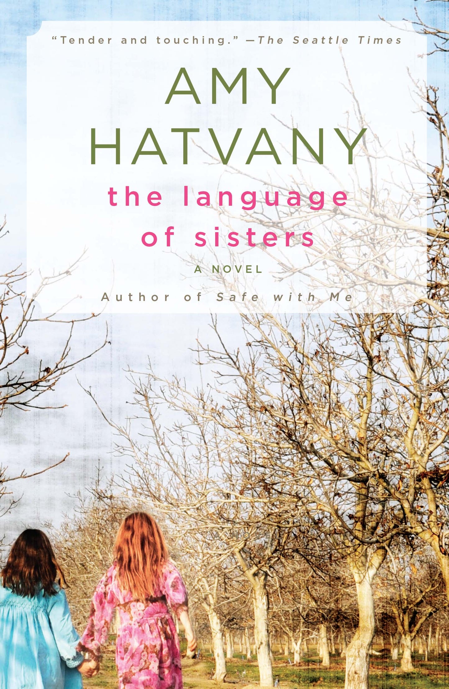 Language of Sisters: A Novel