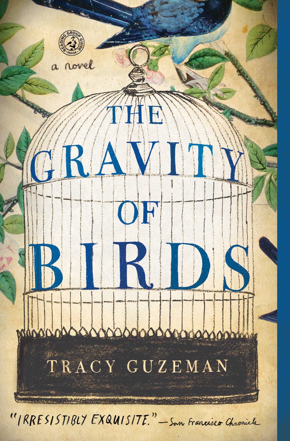 Gravity of Birds: A Novel