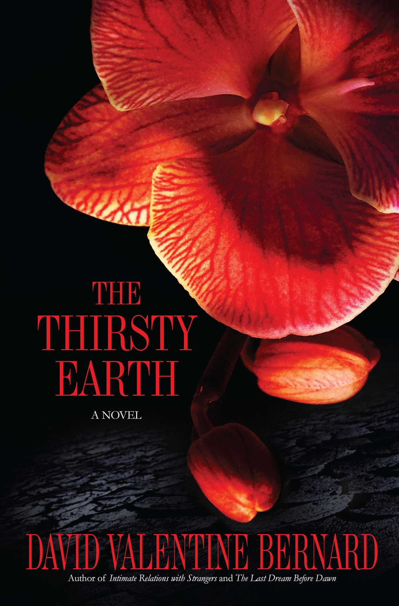 Thirsty Earth: A Novel