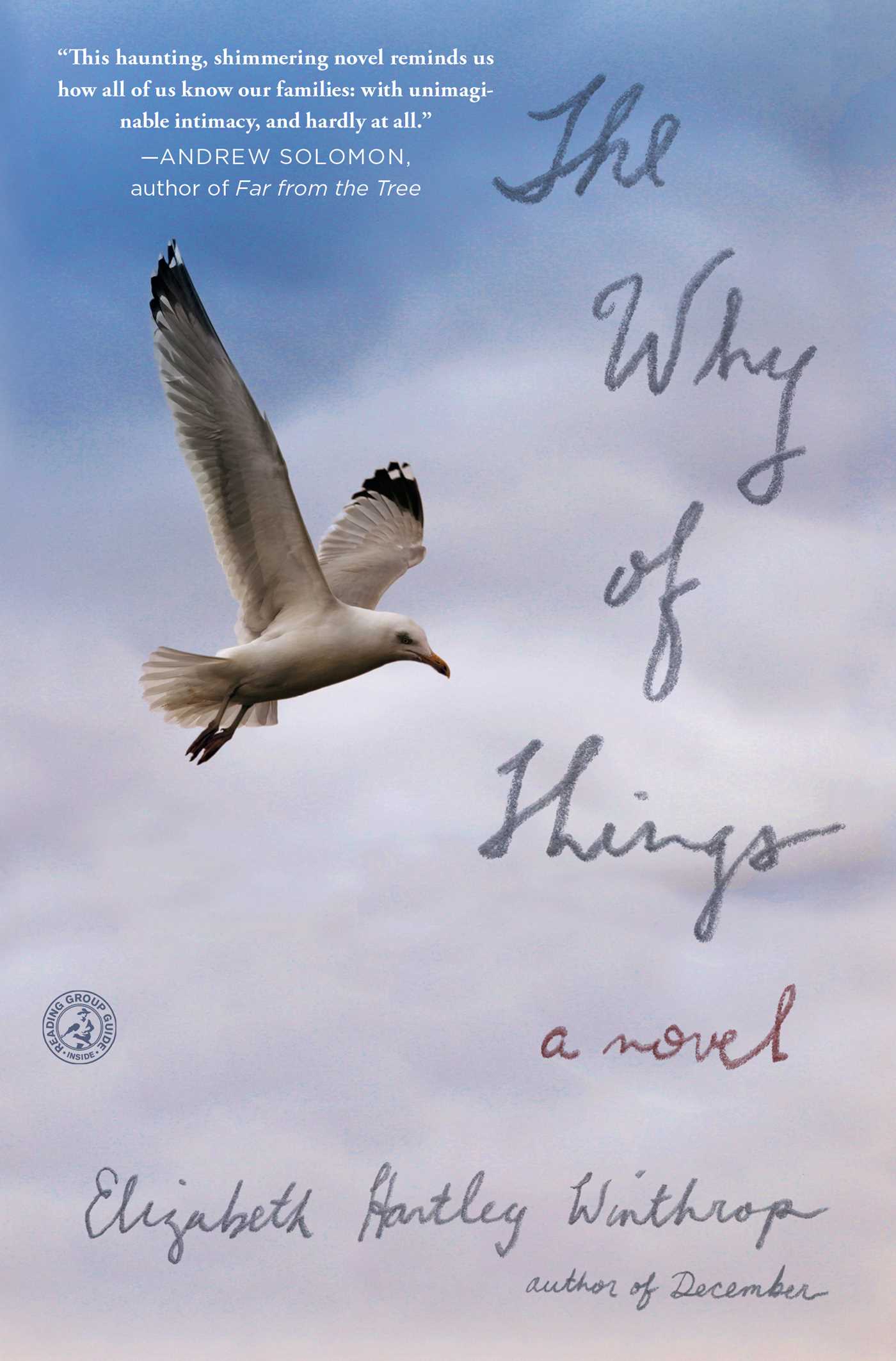 Why of Things: A Novel