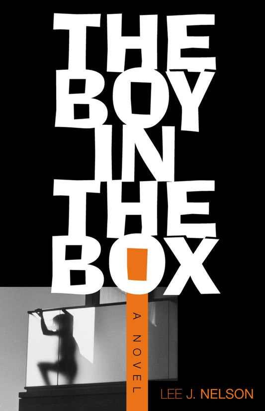 Boy in the Box: A Novel