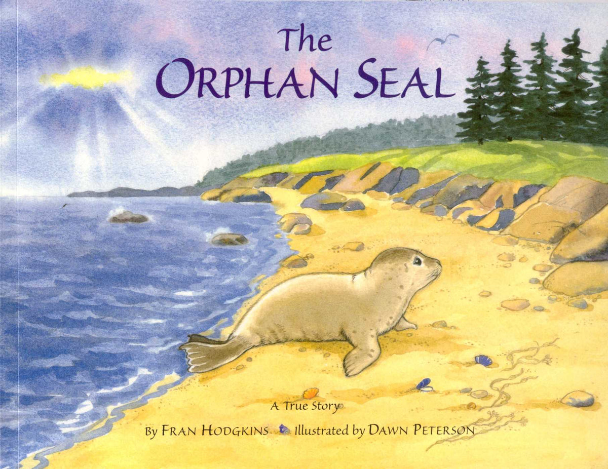 Orphan Seal