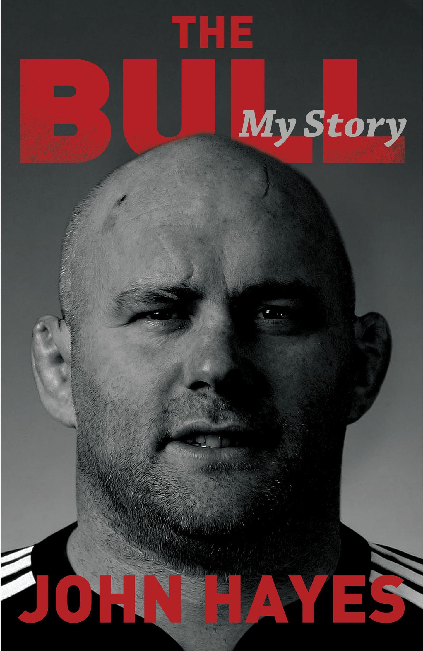 Bull: My Story