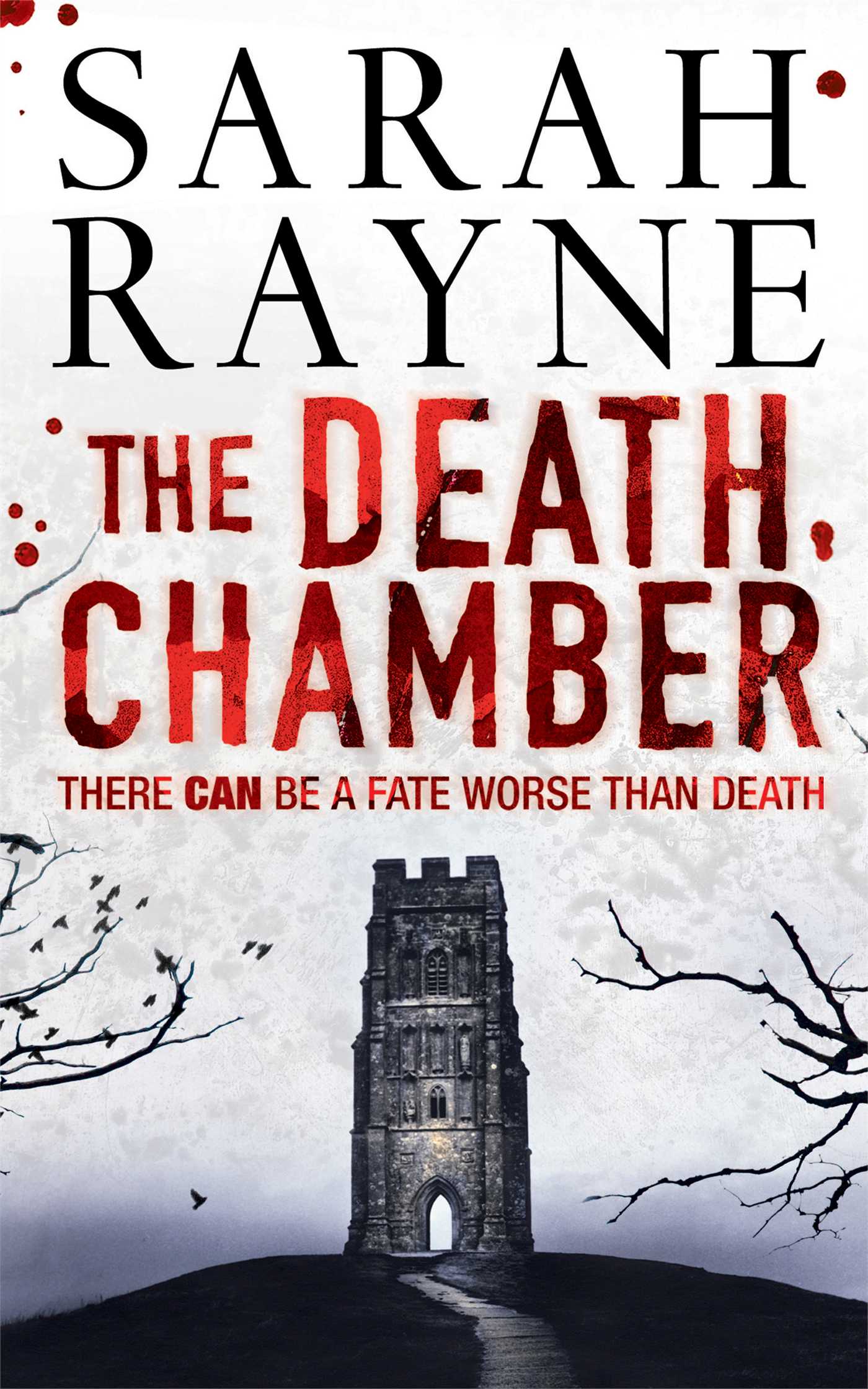 Death Chamber: A brilliantly twisted psychological thriller