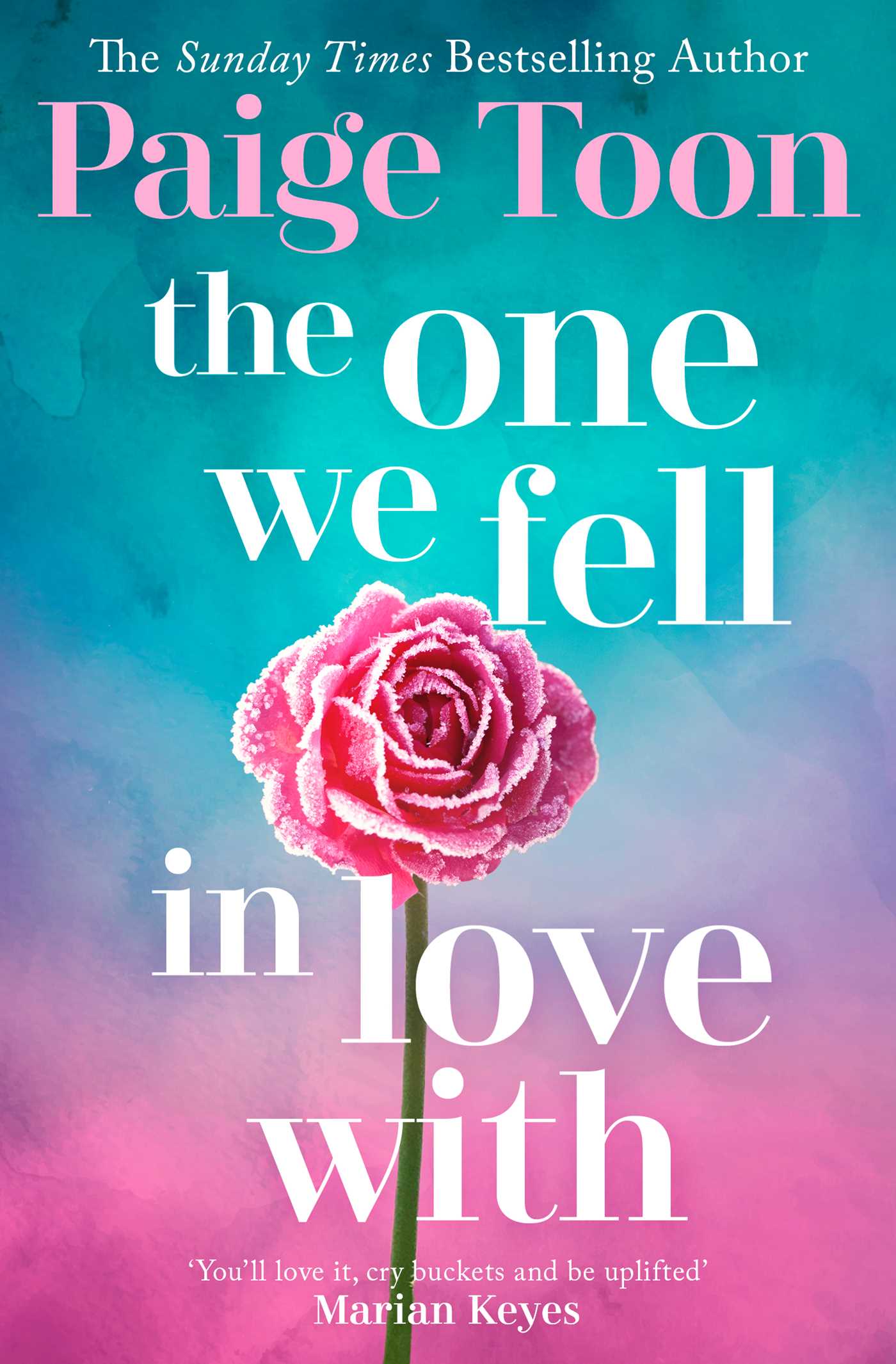 One We Fell in Love With