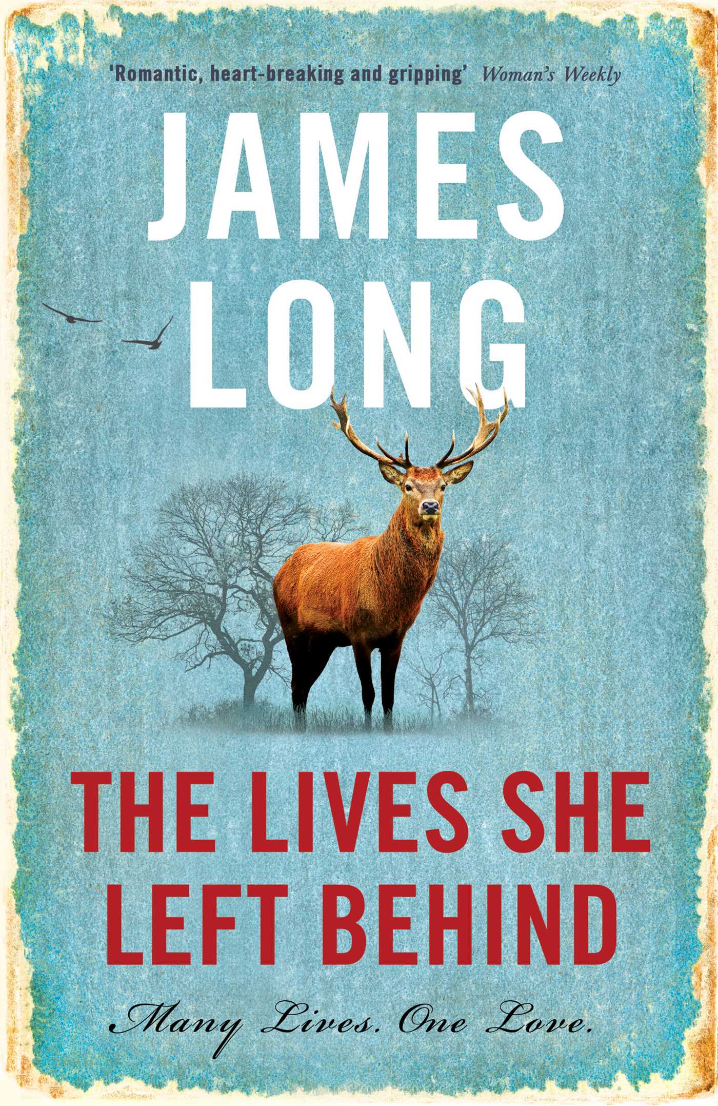 Lives She Left Behind: A beautifully written and compelling time-slip novel
