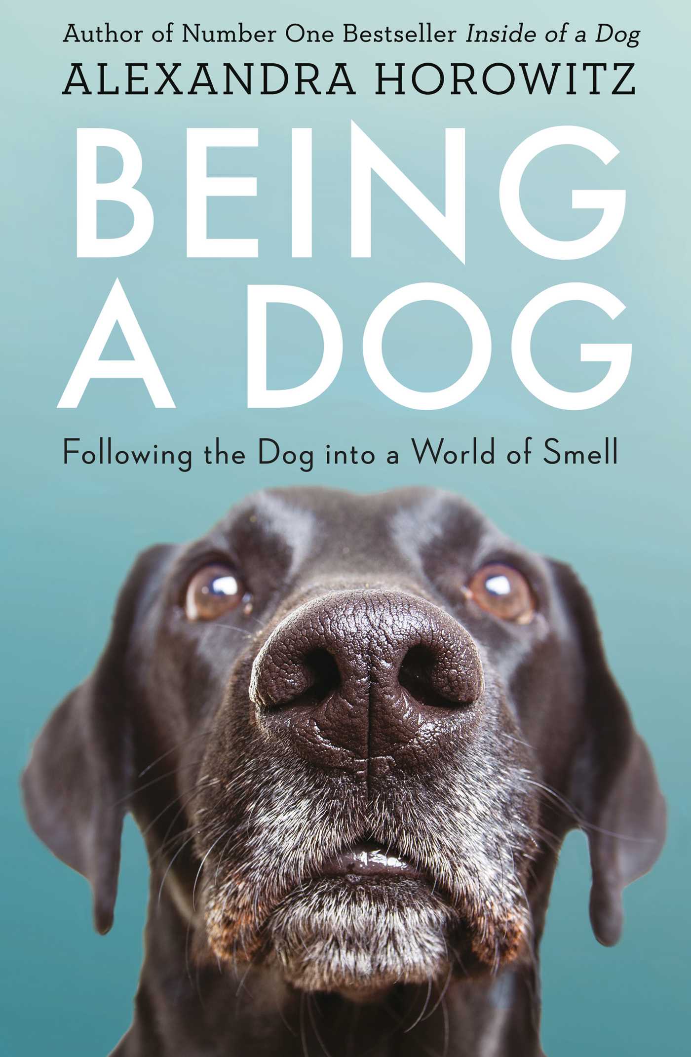 Being a Dog