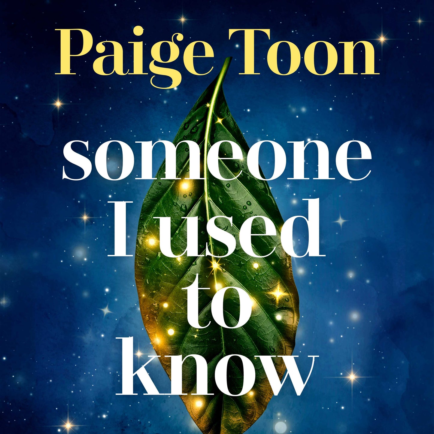 Someone I Used to Know