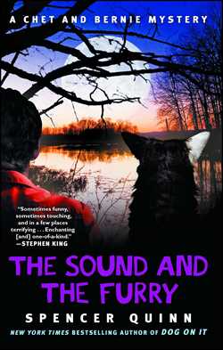 The Sound and the Furry