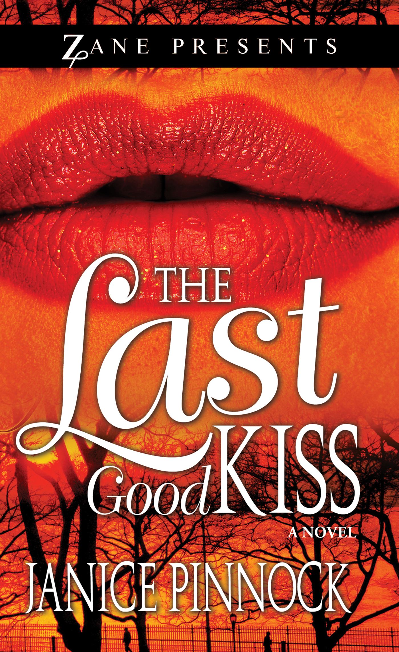 Last Good Kiss: A Novel