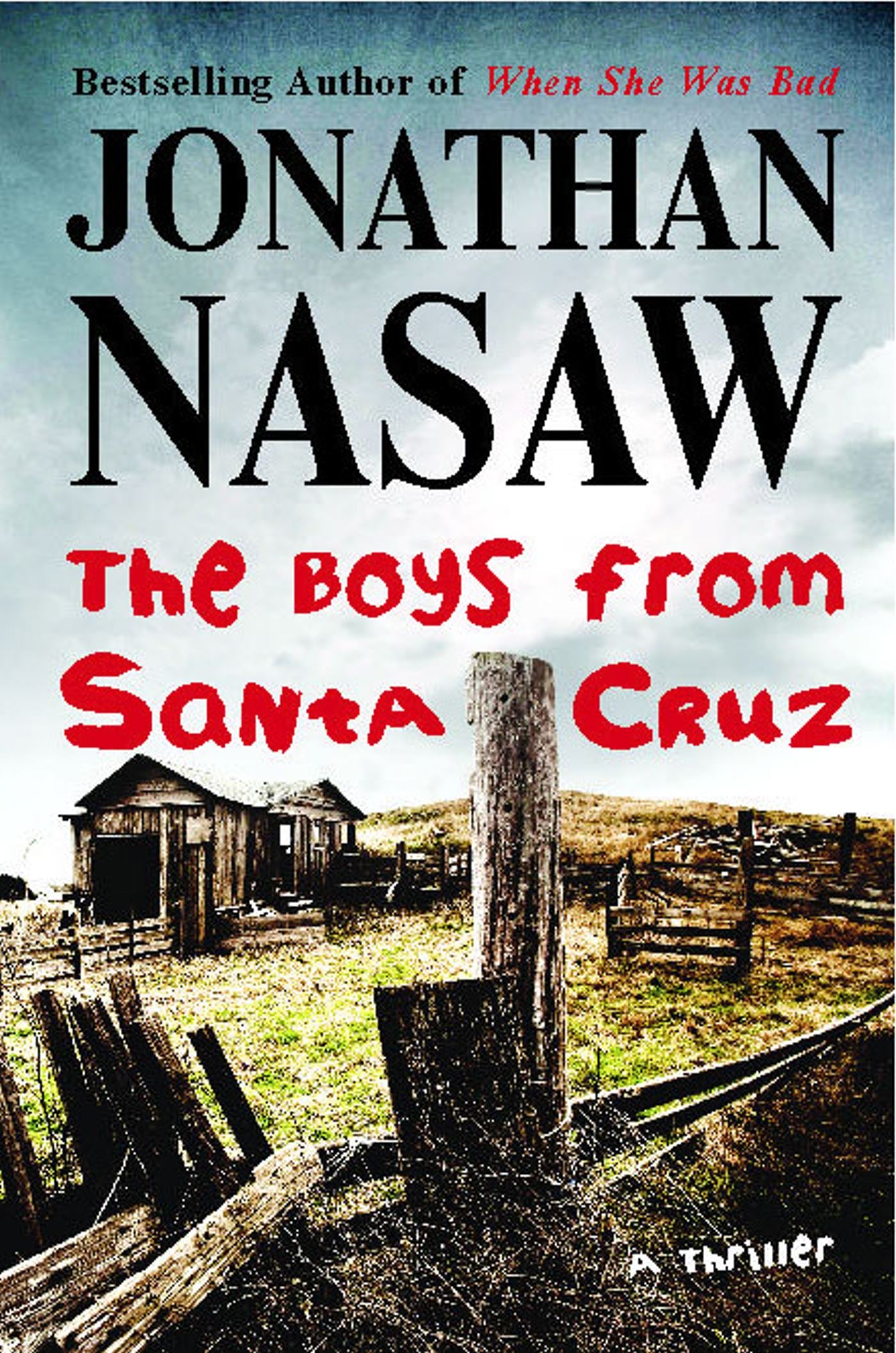 Boys from Santa Cruz: A Thriller