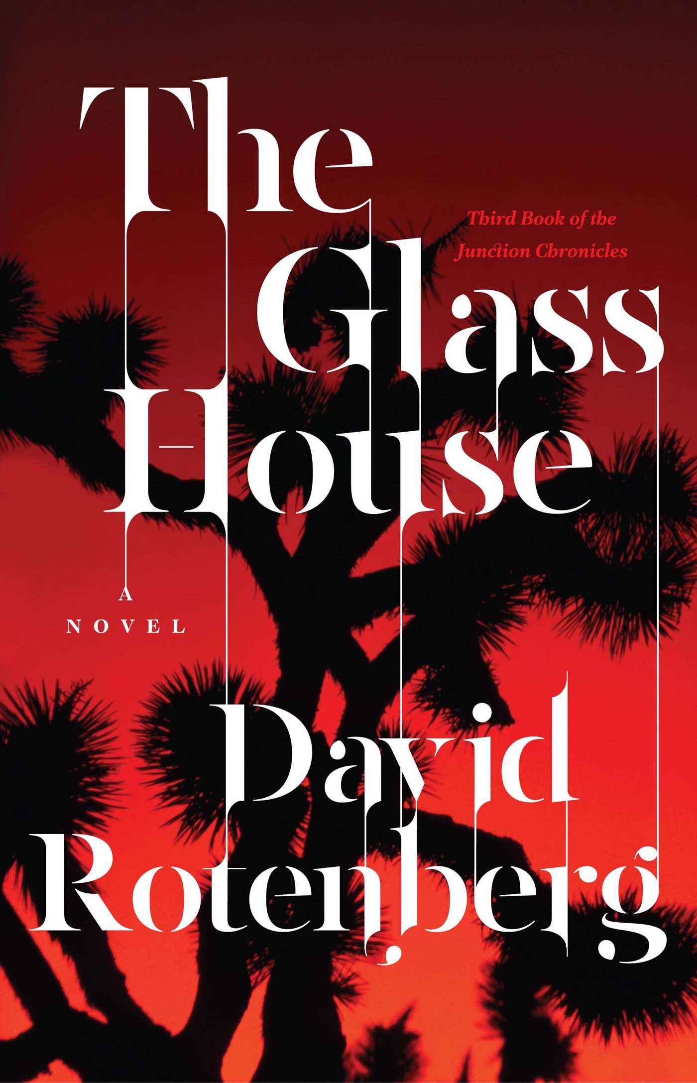 Glass House: Third Book of the Junction Chronicles