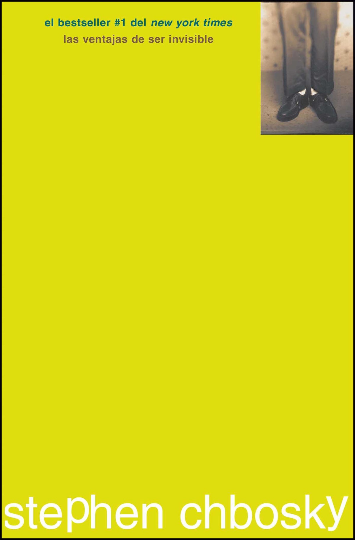 ventajas de ser invisible (The Perks of Being a Wallflower)