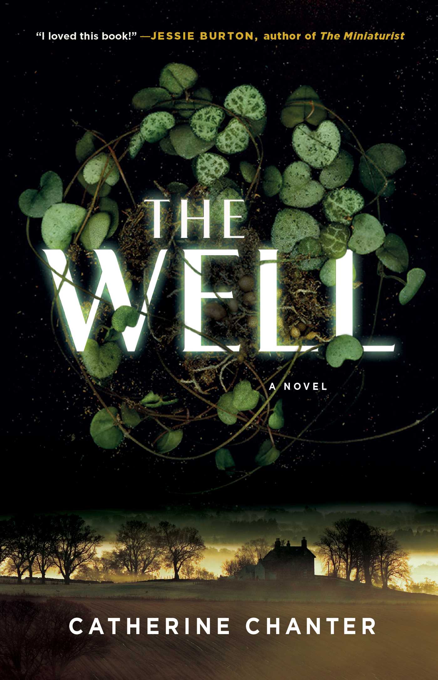 Well: A Novel
