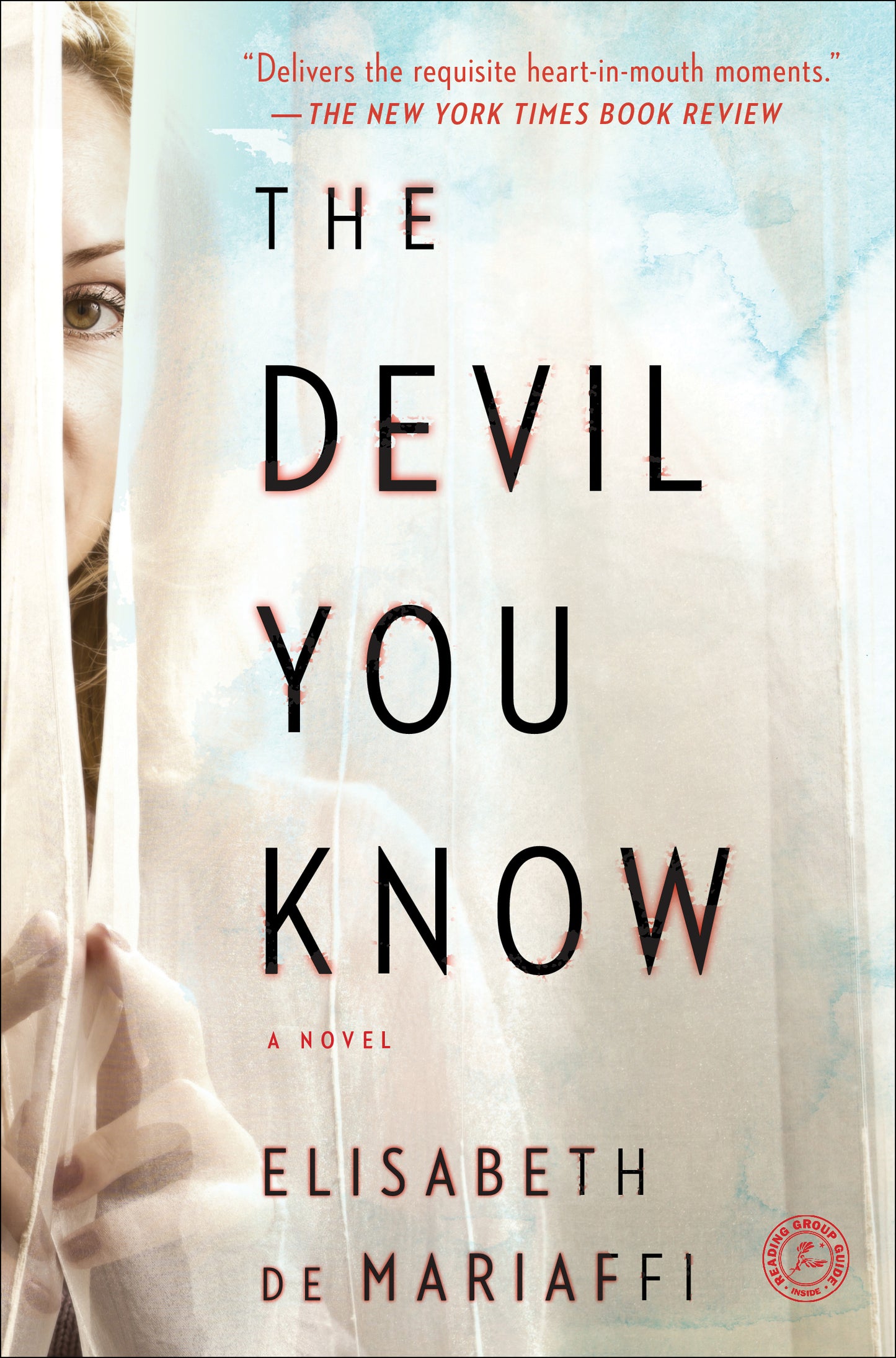 Devil You Know: A Novel
